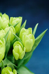 Naklejka premium bouquet of tulips
