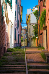 Fototapeta na wymiar Stairway between multicolored buildings with colorful walls and green plants on narrow street in old quarter of historical centre of european city Genoa (Genova), Liguria, Italy