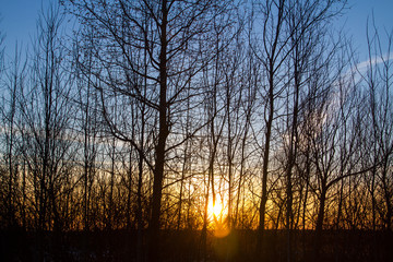 Sunset behind the forest