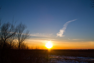 Sunset behind the forest