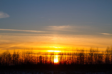 Fototapeta premium Sunset behind the forest