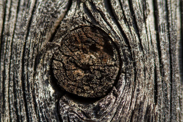 Old wood texture