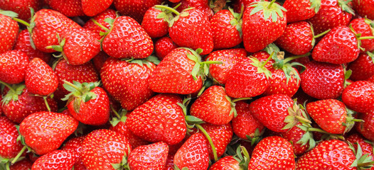 Fresh organic red ripe Strawberry fruit background Top view closeup