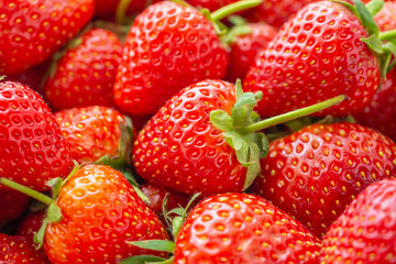 Fresh organic Strawberry fruit background Top view closeup