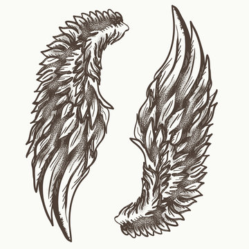 Angel wings. Graphic, hand drawn elements