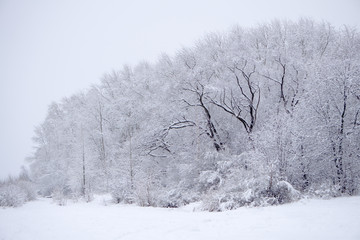 Winter snow forest road turn landscape. Snow winter forest road turn view. Winter forest snow road scene