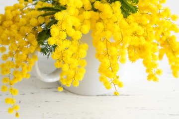 Bouquet of mimosa flowers on white wooden background. Springtime.