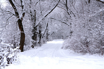 Alley in snowy morning natural nobody rural