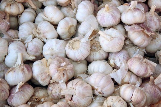 garlic on the market