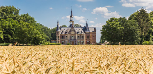 Fototapete bei efototapeten.de bestellen   