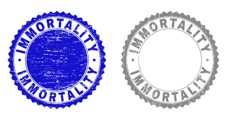 Grunge IMMORTALITY stamp seals isolated on a white background. Rosette seals with grunge texture in blue and gray colors. Vector rubber stamp imitation of IMMORTALITY text inside round rosette.