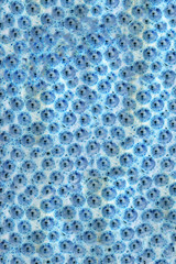 close up of Molecular structure model scribble