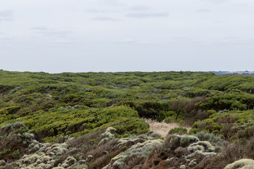 Green scenery with overcast sky.