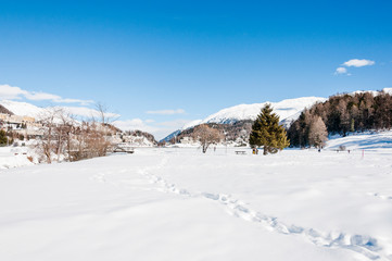 St. Moritz, St. Moritzersee, Oberengadin, Muottas Muragl, Alpen, Winter, Wintersport, Winterwanderung, Graubünden, Schweiz