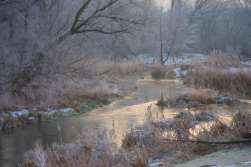 Pomarańczowy świat © Tomek Kiecana