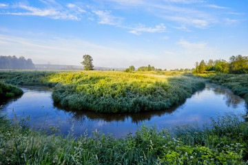Fototapeta na wymiar Early morning on the river. beautiful summer landscape with sun and fog