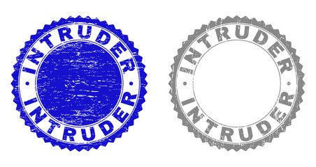 Grunge INTRUDER stamp seals isolated on a white background. Rosette seals with grunge texture in blue and gray colors. Vector rubber overlay of INTRUDER tag inside round rosette.