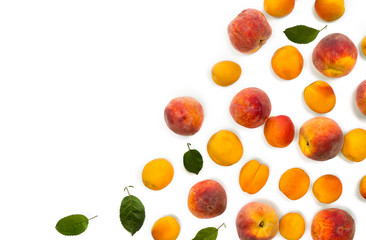 Fresh orange apricots, peaches fruits and green leaves on white background with space for text. Top view, flat lay