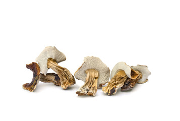 Dried mushroom Boletus edulis on a white background