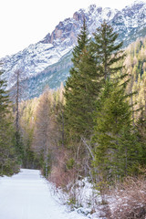 Dolomites. Winter between ice and snow. Tre Scarperi Refuge. On the way to the Tre Cime di Lavaredo