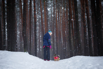 walk with the dog through the winter forest