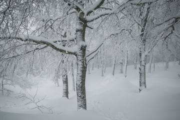 Vacanze invernali sulla neve sul monte Amiata