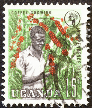Coffee industry on old stamp of Uganda