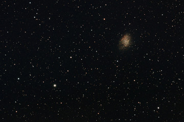 Fototapeta na wymiar The Crab Nebula, a supernova remnant in the constellation of Taurus, photographed from Mannheim in Germany.