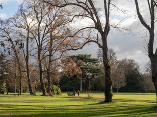 Obraz premium vue du parc de Bagatelles dans le Bois de Boulogne à Paris