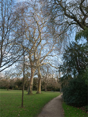 vue du parc de Bagatelles dans le Bois de Boulogne à Paris