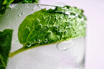  mojito, texture, mint, condensate, glass, soft drink
