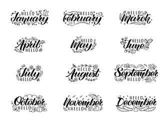 Fototapeta Set of hand drawn lettering with names of months and doodles.  Hand written months titles for print, invitation  or greeting cards, brochures, poster, calender, planner, diary, t-shirts, mugs. obraz