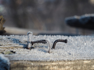 Nails in board covered with frost