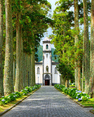 St Nicolas church in Sete Cidades village, framed by giant green trees, consecrated in 1852 and...