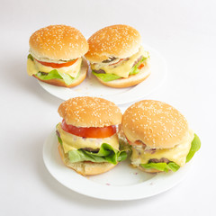 Homemade Burgers