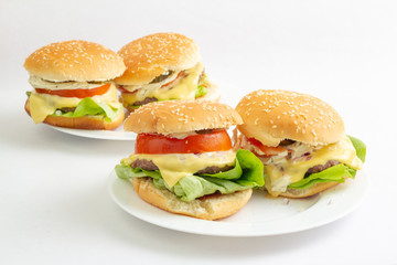 Homemade Burgers
