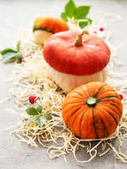 Colorful autumn pumpkins