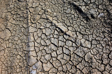 Climate warming dry chapped land
