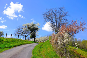 route de campagne lyonnais