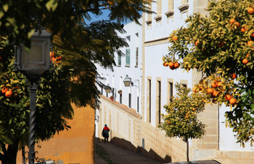 Jerez de la Frontera in february, Andalusia, Spain