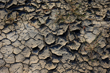 Climate warming dry chapped land