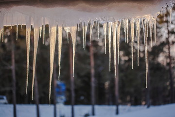 Gorgeous icicles close up view.Beautiful nature backgrounds.