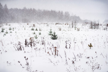 Winter landscape with snow covered countryside. European winter landscape.