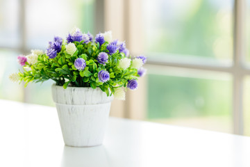 The flowers with window background in the morning.