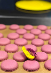 Dessert macaroon pink and yelow 