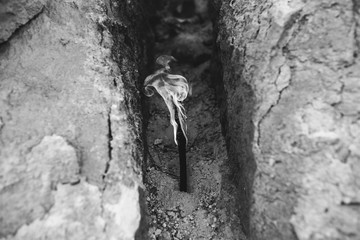 Torch with fire standing in the mountains gorge. White hills and dry grass in the desert.