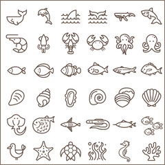 Set of sea creatures and ocean Vector Icons.Contains such Icons as Nautical Creatures , sea food, sea, ocean, fish, coral, sea horse, seaweed, turtle And Other Elements. 