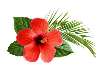 Hibiscus flower with palm leaf in floral tropical composition - obrazy, fototapety, plakaty