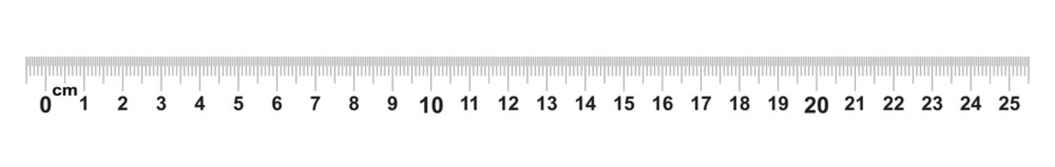 Ruler 25 centimeter. Ruler 250 mm. Value of division 0.5 mm. Precise length measurement device. Calibration grid.