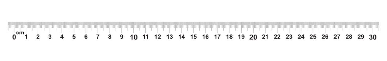 Ruler 30 centimeter. Ruler 300 mm. Value of division 0.5 mm. Precise length measurement device. Calibration grid.